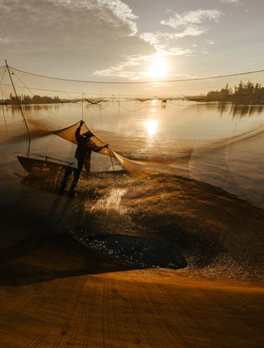 开云官网切尔西赞助商(2025已更新(最新/官方/入口)