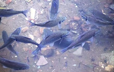 开云官网切尔西赞助商(2025已更新(最新/官方/入口)